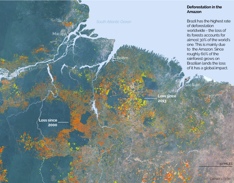 deforestation_Amazon